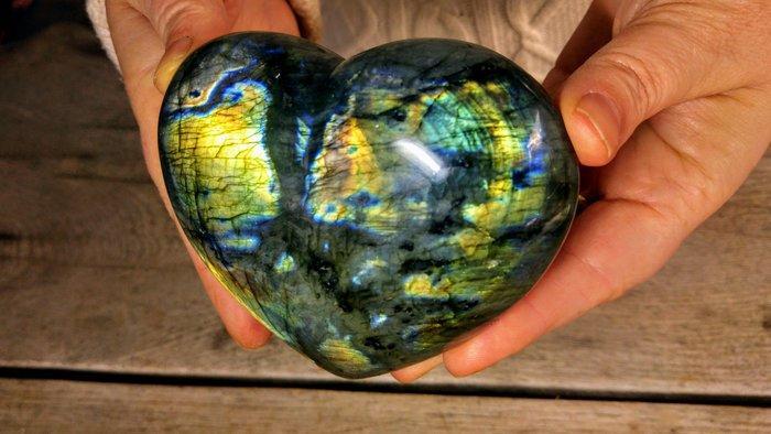 Labradoriet - Goud - Groengeel-violet kleurige chameleon, Antiek en Kunst, Curiosa en Brocante