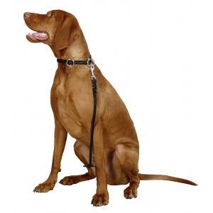 Laisse courte à poignée ronde 10mm-45cm, Animaux & Accessoires, Accessoires pour chiens