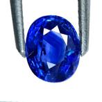 Zonder Minimumprijs Blauw Saffier - 1.09 ct - International, Handtassen en Accessoires, Edelstenen, Nieuw