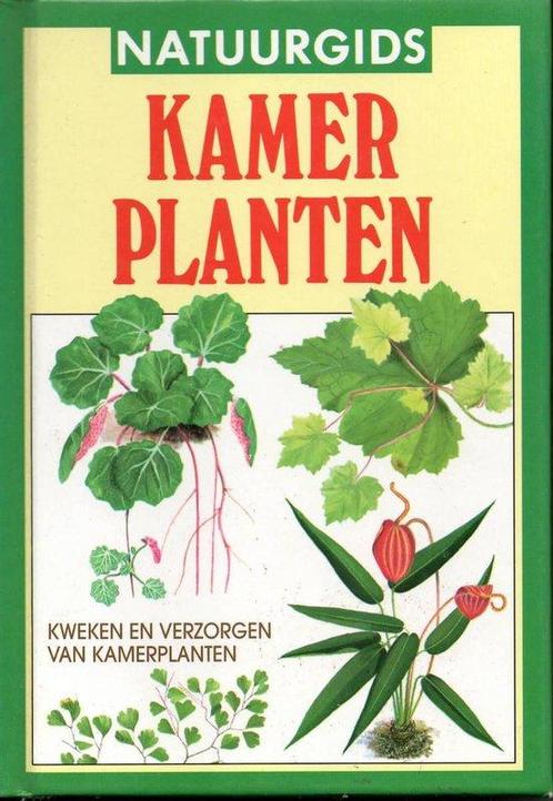 Kamerplanten - kweken en verzorgen van kamerplanten, Boeken, Wetenschap, Zo goed als nieuw, Verzenden