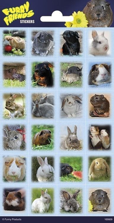 Konijnen En CaviaS Stickers Klein, Hobby & Loisirs créatifs, Articles de fête, Envoi