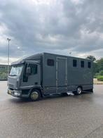 Veiling: Paardenvrachtwagen Iveco 75E Diesel 2006