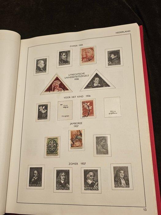 Nederland - Davo albums en vellen (euro frankeergeldig) en, Postzegels en Munten, Postzegels | Nederland