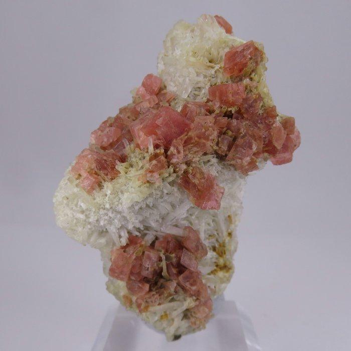 rhodochrosiet Kristallen op matrix - Hoogte: 6 cm - Breedte:, Collections, Minéraux & Fossiles