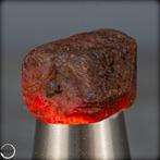 Natuurlijk robijnrood kristal, onbehandeld, Birma 95,65 ct-