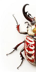 F2B - BeetleCan Coca2 2I8