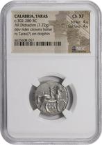 Calabre, Tarentum Didrachm 302-280 a.C. - NGC Ch XF