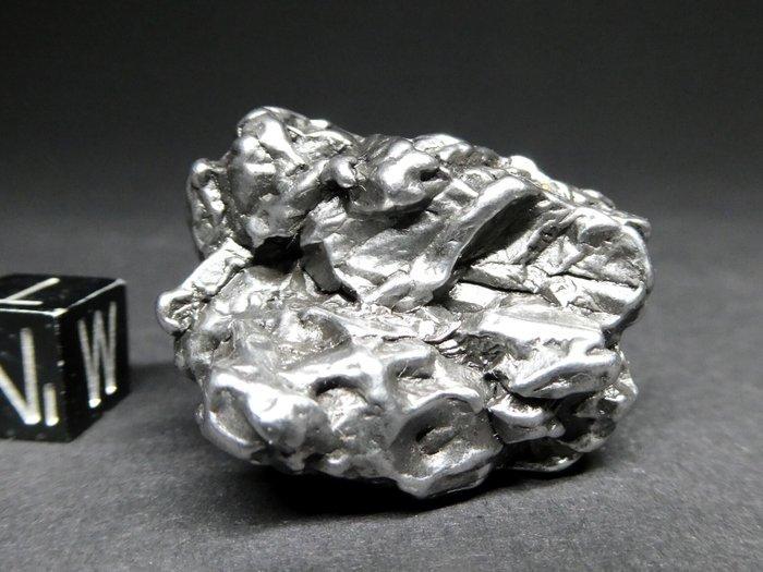 Campo del Cielo meteorite Kristal - 63.9 g, Verzamelen, Mineralen en Fossielen