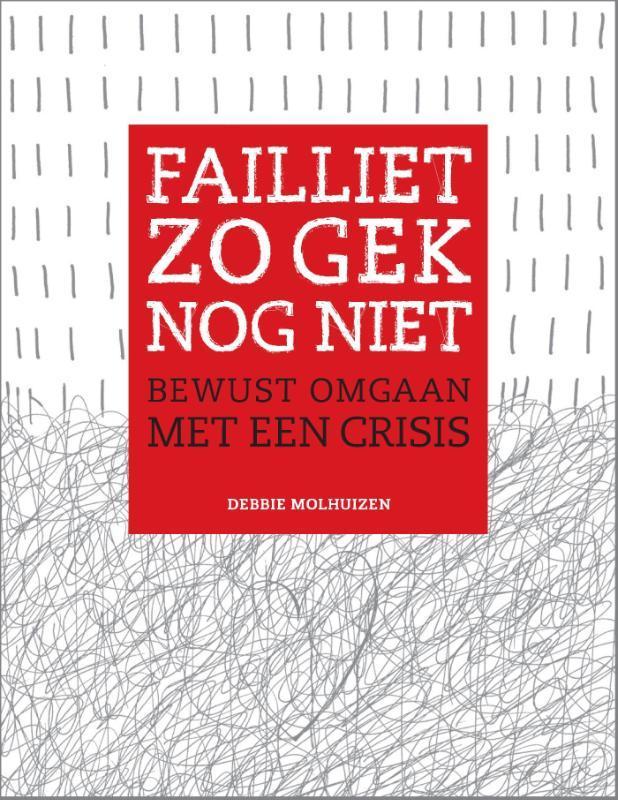 Failliet zo gek nog niet 9789082203264 Debbie Molhuizen, Boeken, Economie, Management en Marketing, Zo goed als nieuw, Verzenden