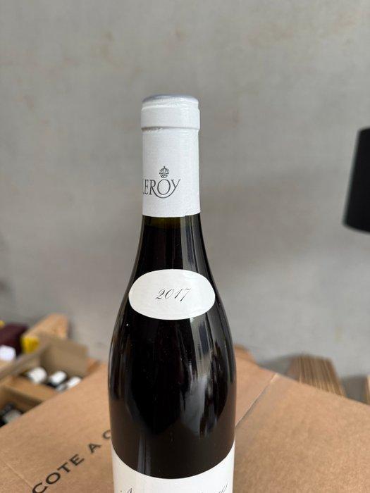 2017 Leroy - Nuits St. Georges - 1 Fles (0,75 liter), Verzamelen, Wijnen