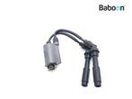 Bobine Kawasaki W 800 2011-2016 (W800), Motoren, Onderdelen | Kawasaki, Verzenden, Nieuw