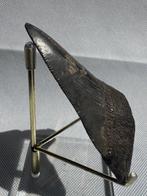 Megalodon - Fossiele tand - Carcharocles megalodon - 10.7 cm