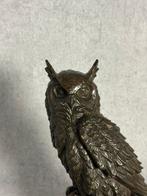 Uil - Bronze - Chine - Fin du XXe siècle, Antiek en Kunst