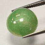 Jadeiet - 6.87 ct - Geen laboratoriumrapport - Gemmoloog
