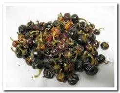 Ronde Paprika ca. 250 gram zak, Huis en Inrichting, Woonaccessoires | Kunstplanten en Kunstbloemen, Nieuw