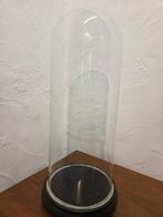 Globe - stolp - antiek - 1901-1920 - Antieke ronde stolp, Antiek en Kunst