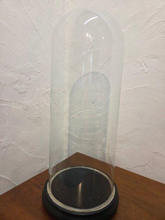 Globe - stolp - antiek - 1901-1920 - Antieke ronde stolp, Antiek en Kunst, Antiek | Boeken en Manuscripten