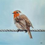 Mireille Both - Robin IV