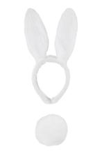 Haarband Konijn Wit met Staart Diadeem Konijnenoren Oren Oor, Kleding | Dames, Ophalen of Verzenden, Nieuw