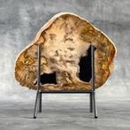Magnifique tranche de bois pétrifié sur un socle