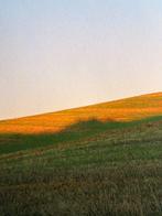 Tim Vergouw - 01 — Santiago de Compostela