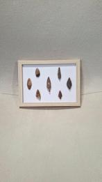 Neolithisch Silex Pijlpunt - 200 mm (Zonder minimumprijs), Collections, Minéraux & Fossiles