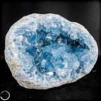 Natuurlijk Celestiet Drusen/Vrije vorm- 4034.72 g, Verzamelen, Mineralen en Fossielen