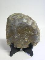 Paleolithisch Vuursteen schraper - 21 cm  (Zonder, Antiek en Kunst