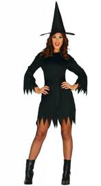 Halloween Kostuum Dames Heks, Kleding | Dames, Verzenden, Nieuw