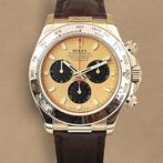 Rolex - Daytona -  Champagne Dial w/ black subdials - Ref., Handtassen en Accessoires, Horloges | Heren, Nieuw