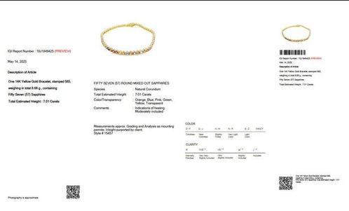 Zonder Minimumprijs - Armband - 14 karaat Geel goud -, Handtassen en Accessoires, Armbanden
