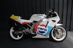 Suzuki - RGV 250 - Pepsi - 1989, Motoren