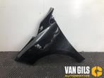 Scherm links-voor Renault Megane O297584, Nieuw