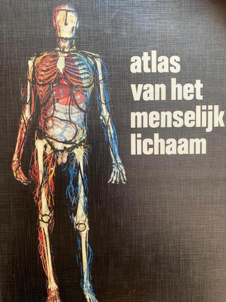 Atlas van het menselijk lichaam 9789060877456 Schade, Boeken, Wetenschap, Gelezen, Verzenden