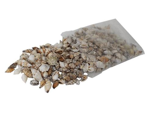 Schelpenmix  vulschelpen 2.5-3.5cm assortie 1 kilo, Hobby en Vrije tijd, Knutselen, Nieuw