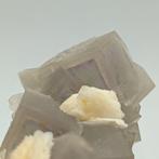 Élégante fluorite fantôme avec baryte blanche, Sicile.