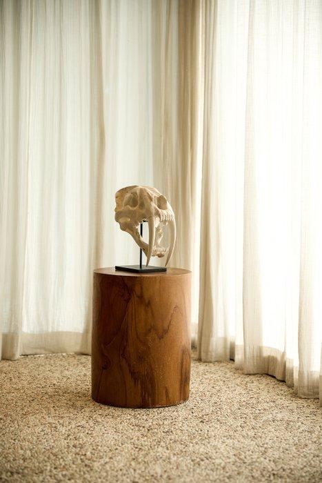 Geen minimumprijs - Een replica van een Sabre Tooth, Antiek en Kunst, Curiosa en Brocante