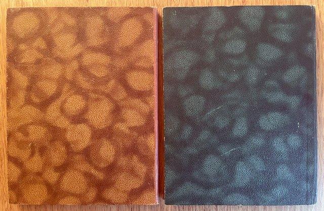 R. A. Hédoin / Hergé - Loiseau de France : Océanie -, Antiek en Kunst, Antiek | Boeken en Manuscripten