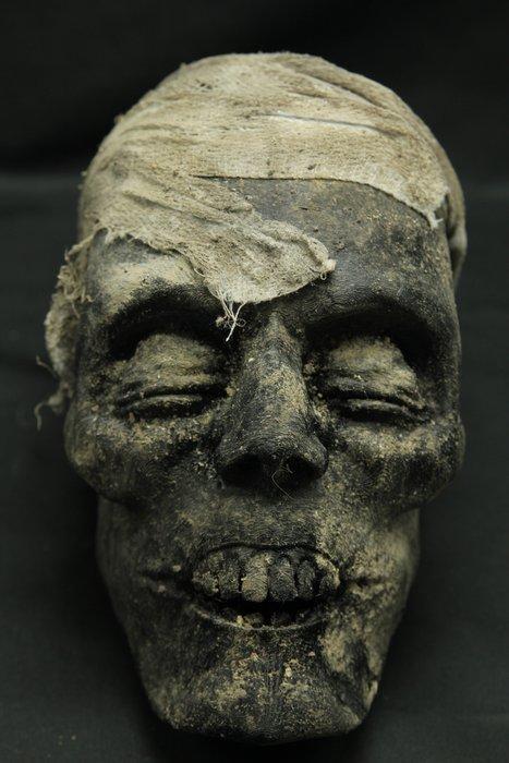 Replica gemummificeerd hoofd - levensecht - Mummie -, Antiek en Kunst, Curiosa en Brocante