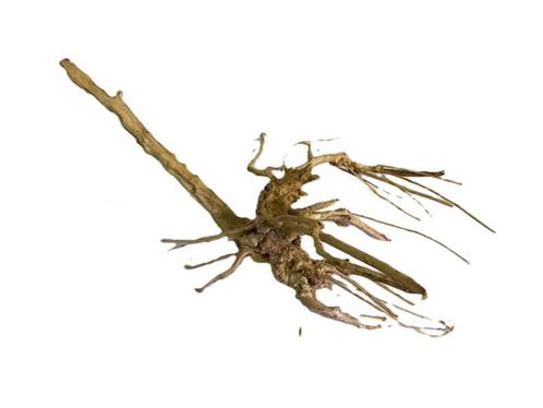 Driftwood Selected DW38- 45x20x15cm (Small drift wood), Dieren en Toebehoren, Vissen | Aquaria en Toebehoren, Plant(en), Steen of Hout