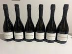 2019 Decugnano dei Barbi Metodo Classico - Ombrie Brut - 6, Verzamelen, Nieuw
