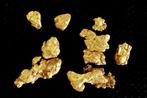 Goud Goud nugget- 1.68 g - (10)