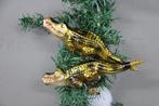 Inge-Glas: krokodil als kerst ornament - Kerstballen, Diversen, Nieuw