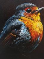 Tomasz Bednarski (1965) - Nignt Robin