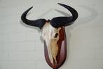Blue Wildebeest Schedel - Connochaetes taurinus - 20 cm - 60, Verzamelen, Dierenverzamelingen, Nieuw