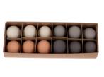 Ganzeneieren Naturel Grijs assortet +/- 8 cm mooie eieren, Hobby en Vrije tijd, Nieuw