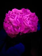 Pièce absolument fantastique de calcite sur fluorite., Verzamelen, Mineralen en Fossielen