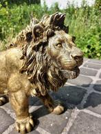Statue, Beeld, 60 cm long statue of golden bronze lion - 32
