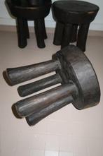 Krukje lobi - Ivoorkust