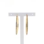 Gouden oorringen met zirconia | Ø 51,5 mm (grote oorringen), Handtassen en Accessoires, Oorbellen, Gebruikt, Overige kleuren, Ophalen of Verzenden